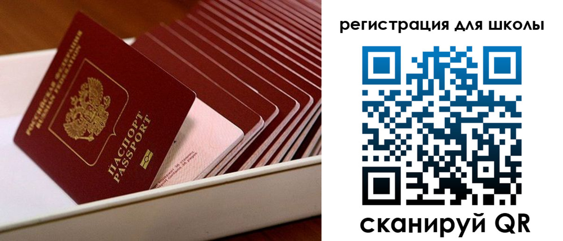 прописка гарантия в Тверской области